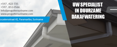 Problemen met uw dakgoten of bakgoten?